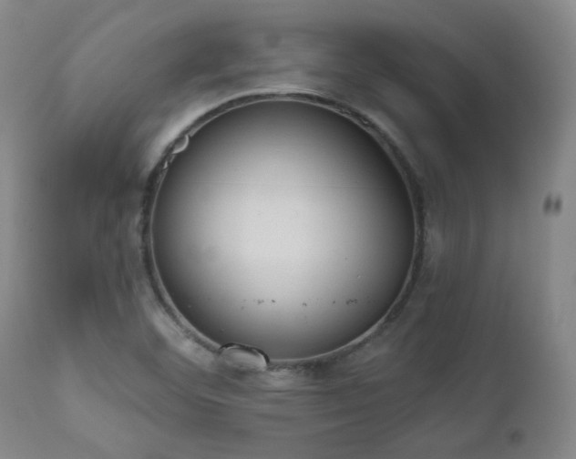 X0000110961460200906191300