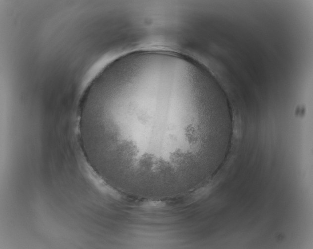 X0000110961462200906191300