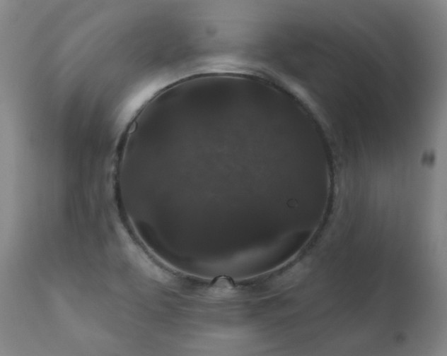 X0000110961463200906191300