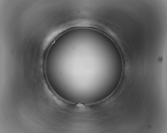 X0000110961464200906191300