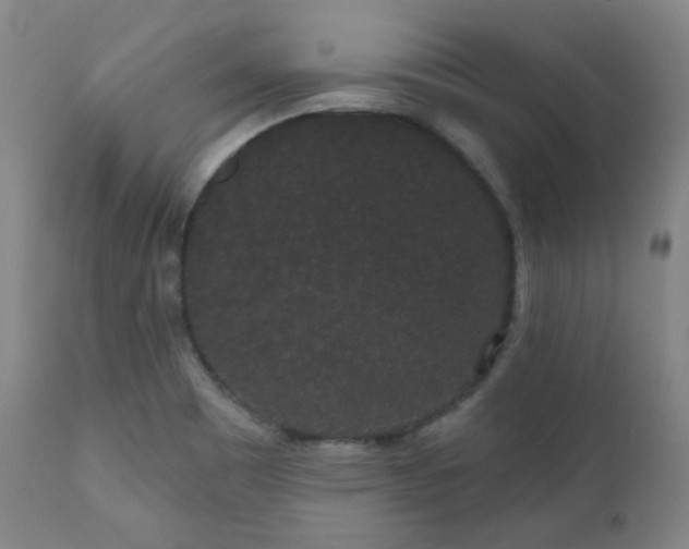 X0000110961465200906191300