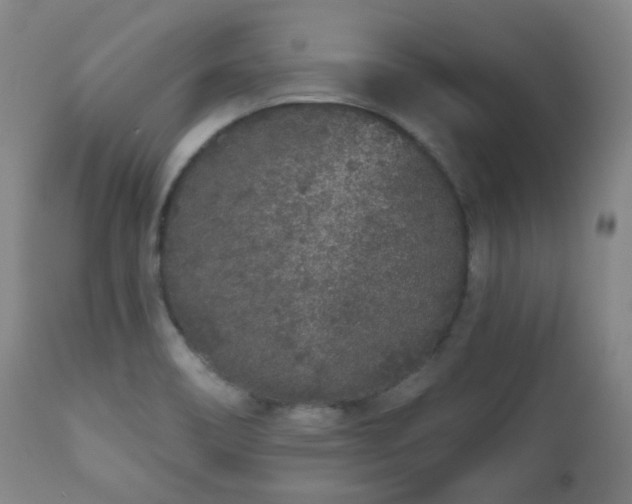 X0000110961466200906191300