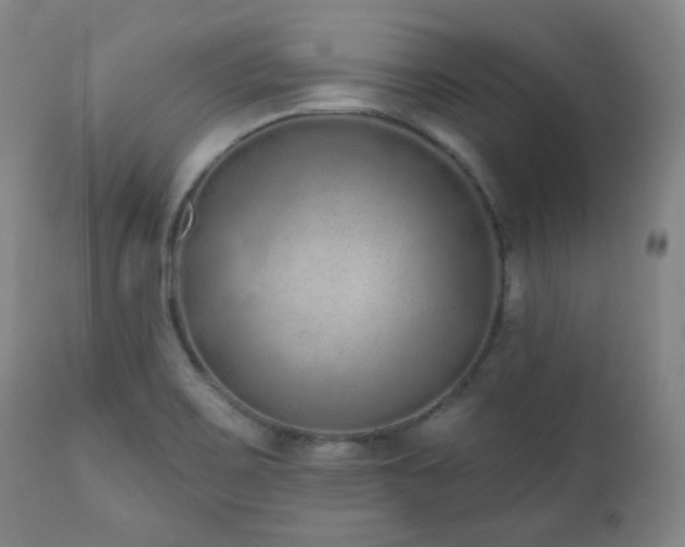 X0000110961467200906191300