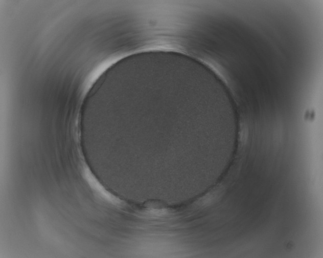 X0000110961468200906191300