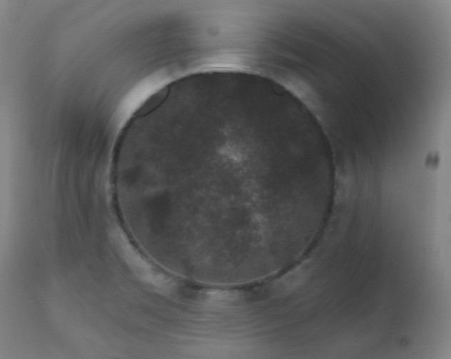X0000110961469200906191300