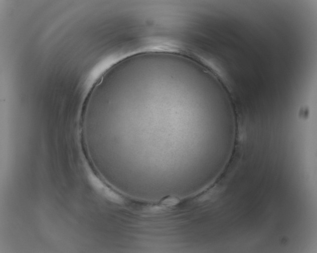 X0000110961471200906191300