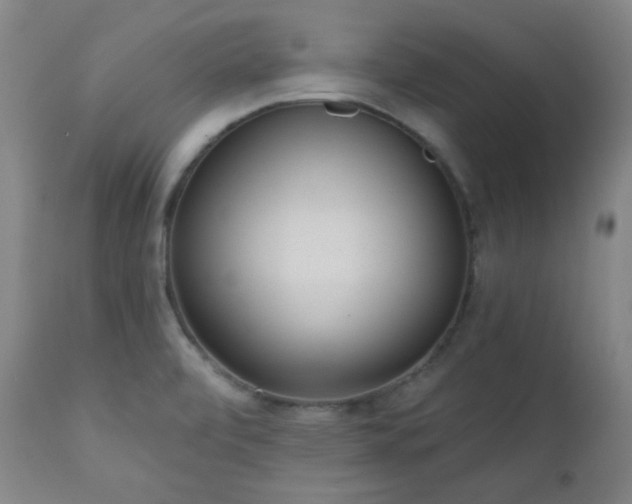 X0000110961472200906191300