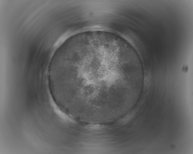 X0000110961474200906191300