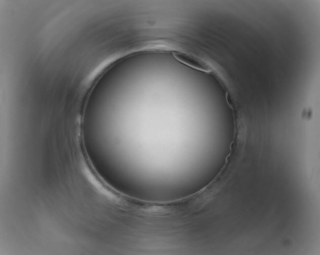X0000110961476200906191300