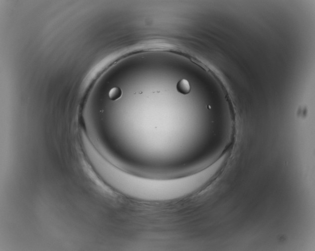 X0000110961477200906191300