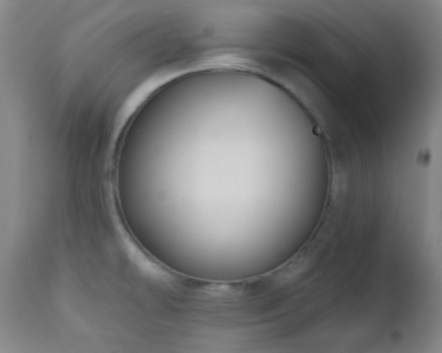 X0000110961478200906191300