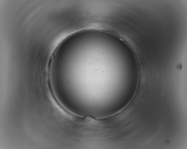 X0000110961479200906191300