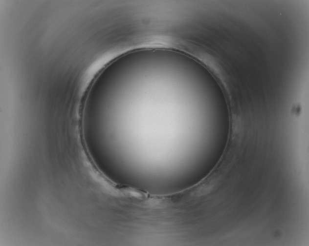 X0000110961480200906191300