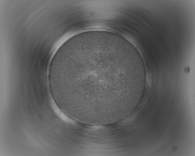 X0000110961482200906191300