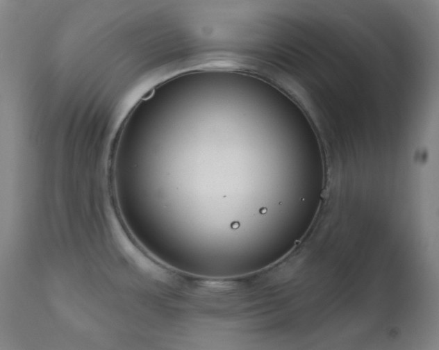 X0000110961483200906191300
