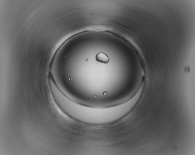 X0000110961484200906191300