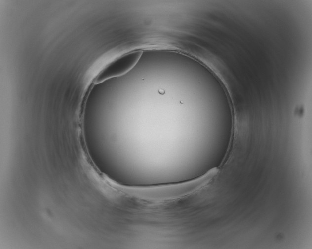X0000110961485200906191300