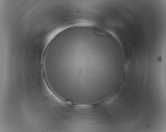 X0000110961487200906191300