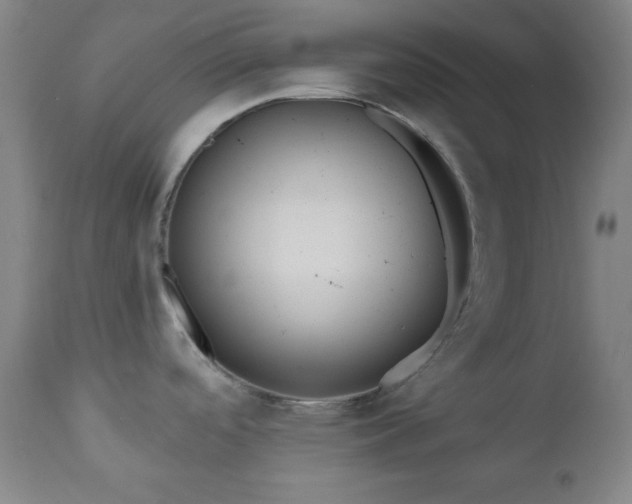 X0000110961488200906191300