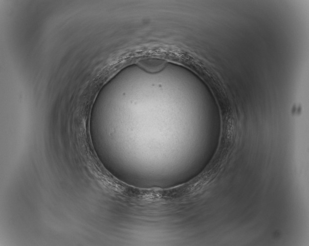 X0000110961489200906191259