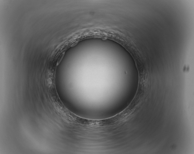 X0000110961490200906191259