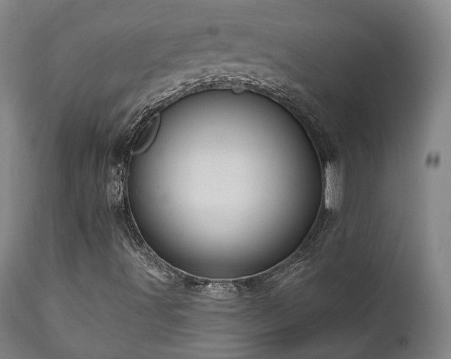 X0000110961491200906191259