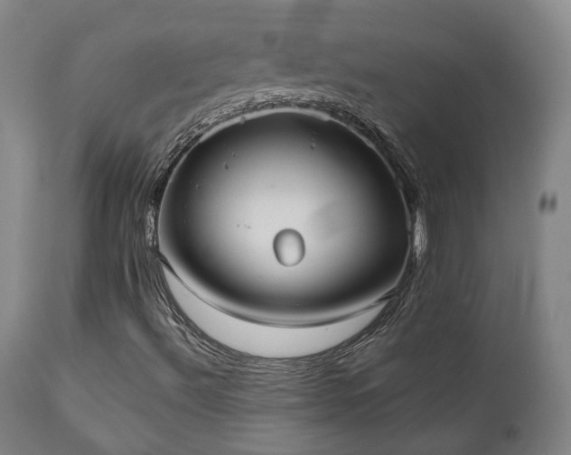 X0000110961492200906191259