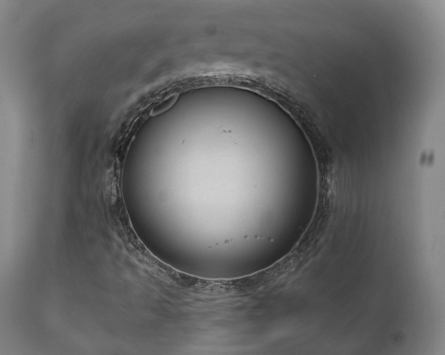 X0000110961493200906191259
