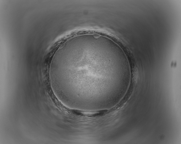 X0000110961494200906191259