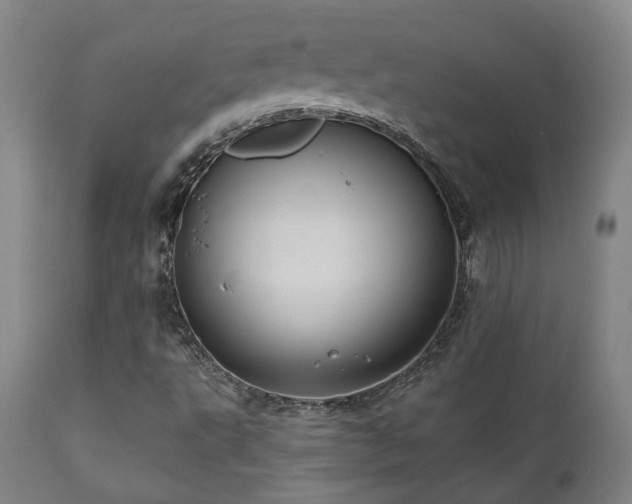 X0000110961495200906191259