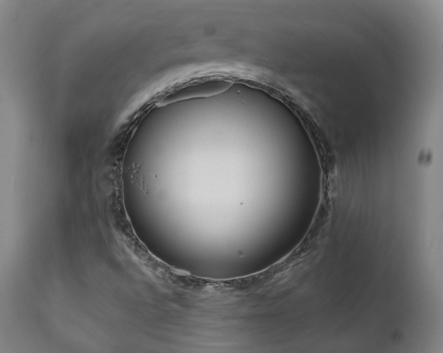 X0000110961496200906191259