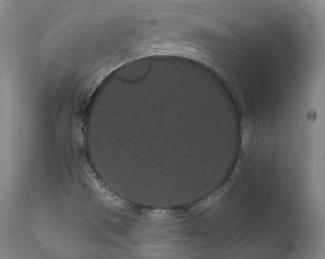 X0000110961497200906191259