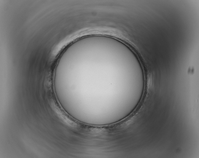 X0000110961498200906191259