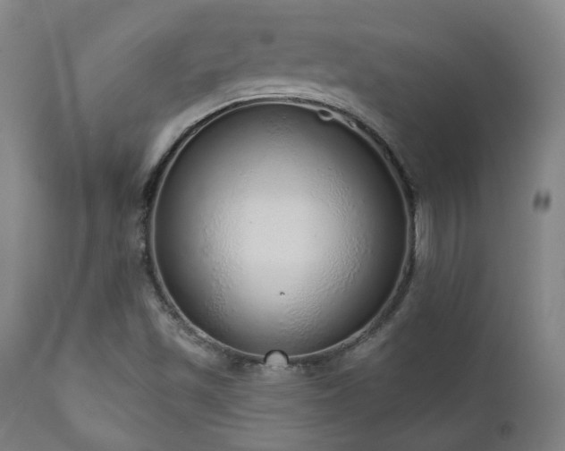 X0000110961501200906191259