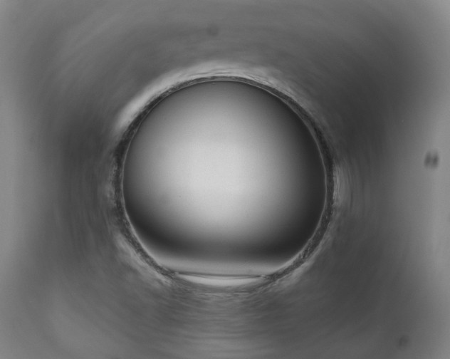 X0000110961502200906191259