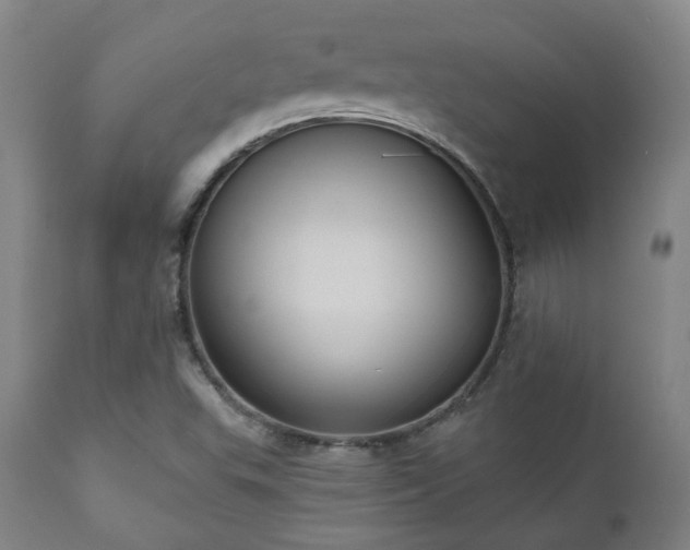 X0000110961503200906191259