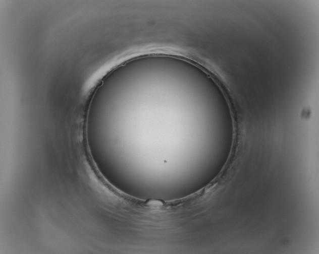 X0000110961504200906191259