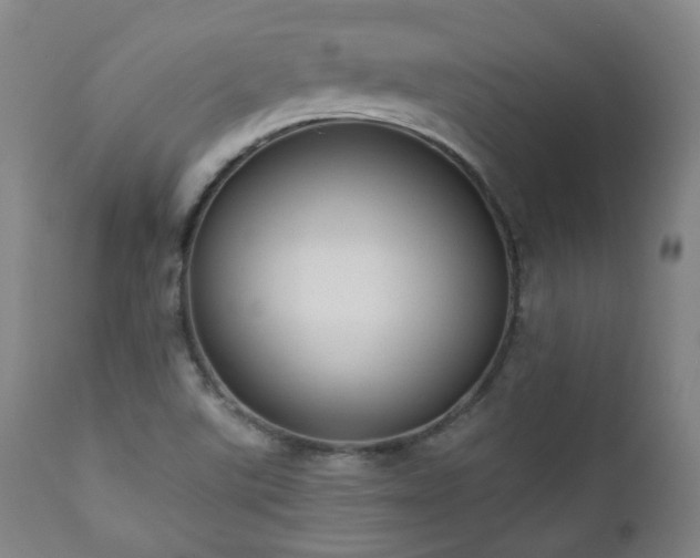 X0000110961507200906191259
