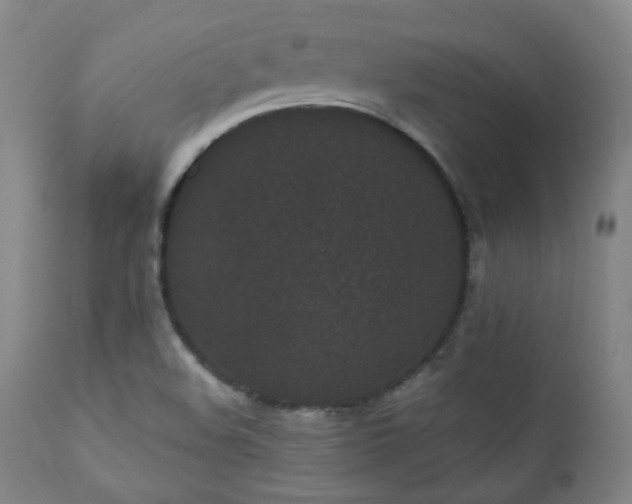 X0000110961508200906191259