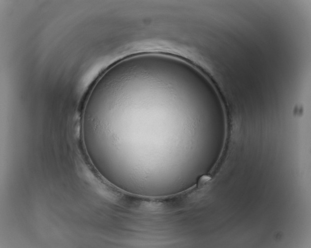 X0000110961509200906191259