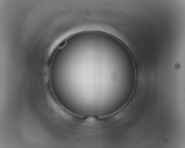 X0000110961510200906191259