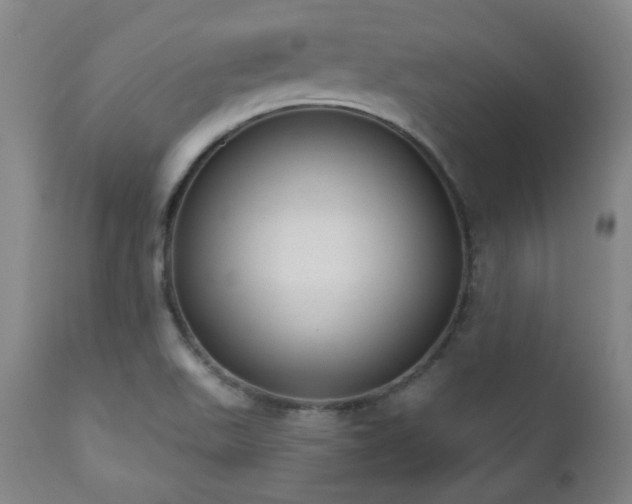 X0000110961511200906191259