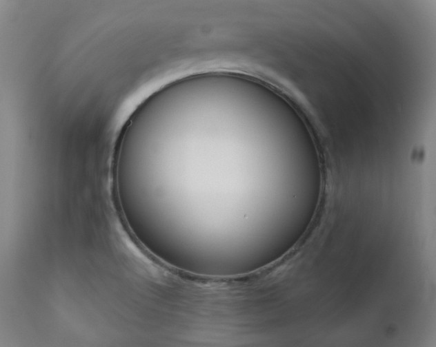 X0000110961512200906191259