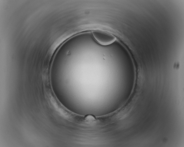 X0000110961513200906191259