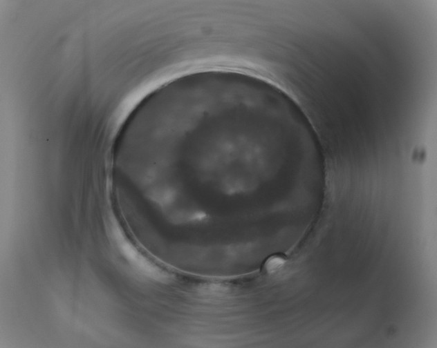 X0000110961515200906191259