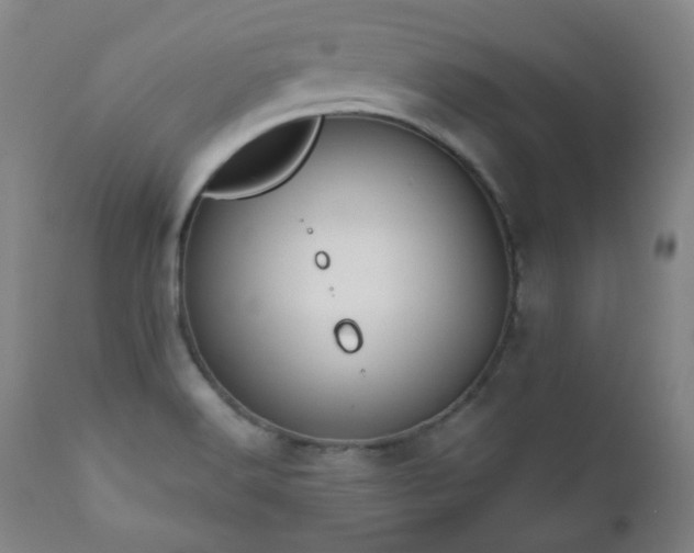 X0000110961516200906191259
