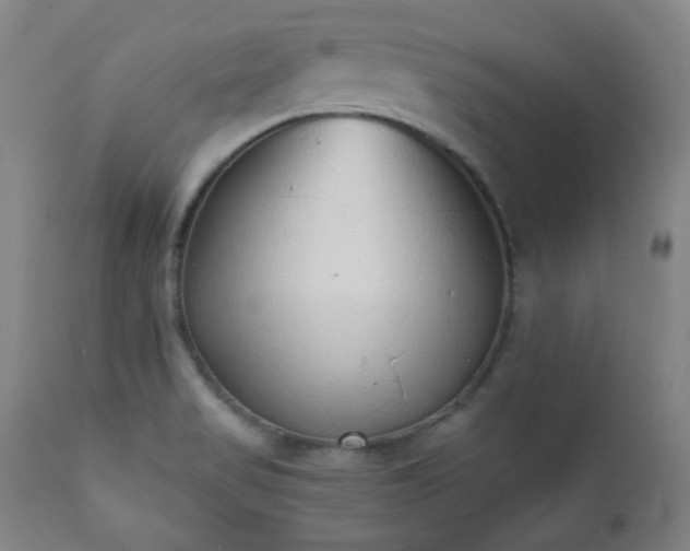 X0000110961517200906191259
