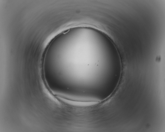 X0000110961518200906191259