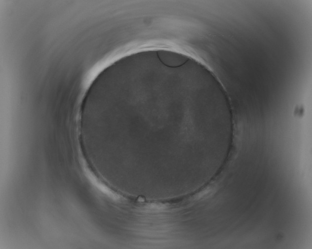X0000110961519200906191259