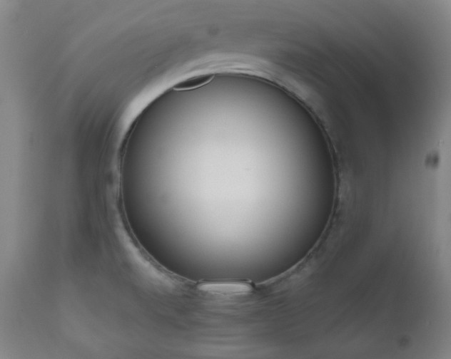 X0000110961520200906191259